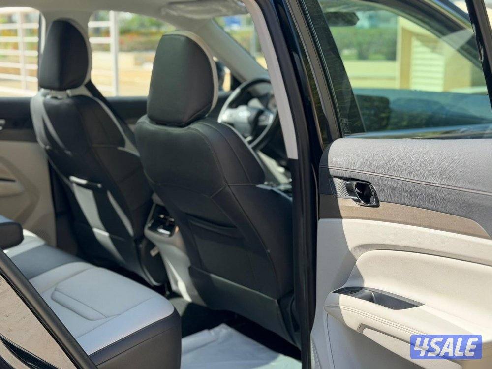 صبغ الوكالة كامل المواصفات 20245