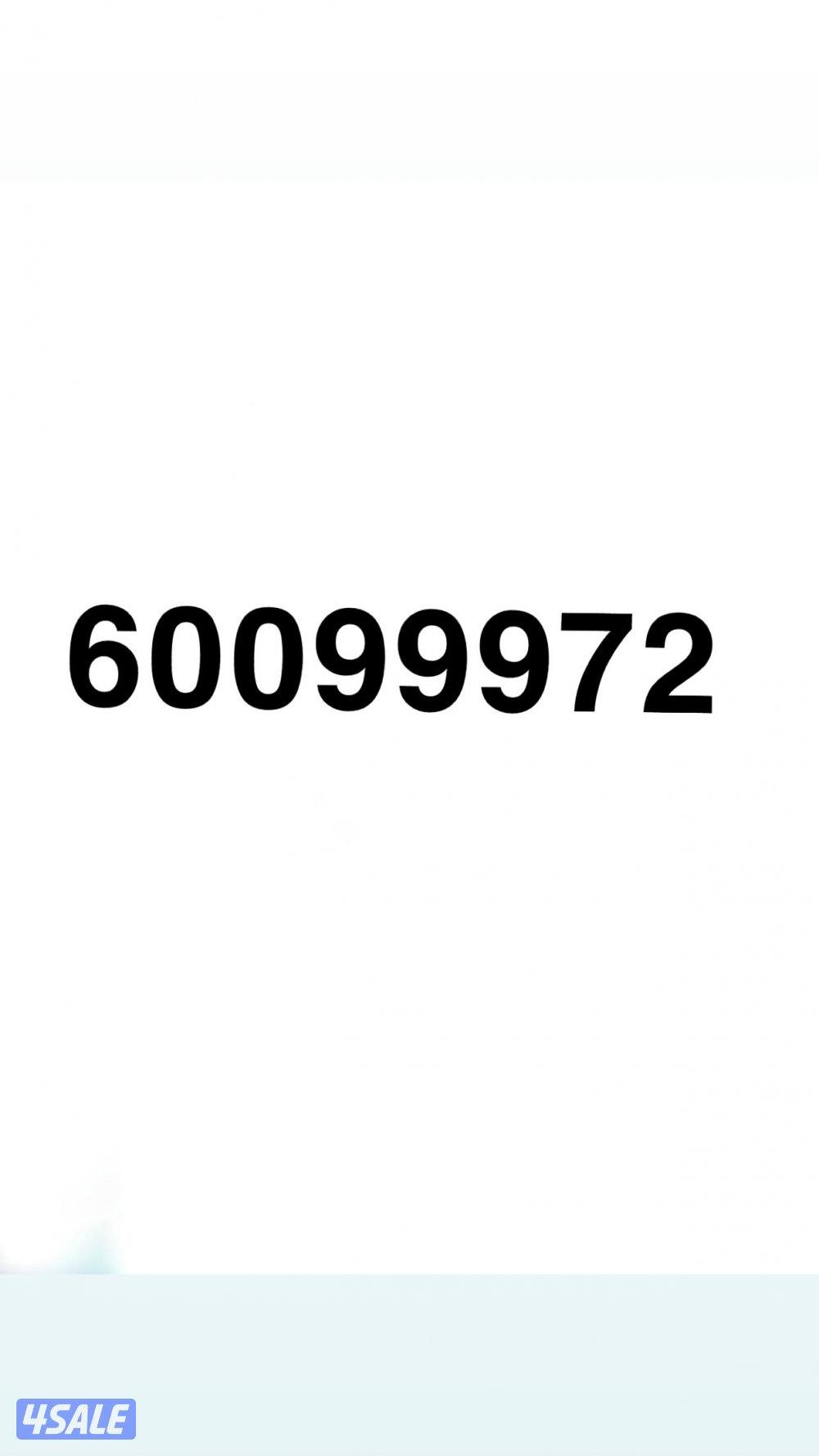 طيور لوف بيرد3