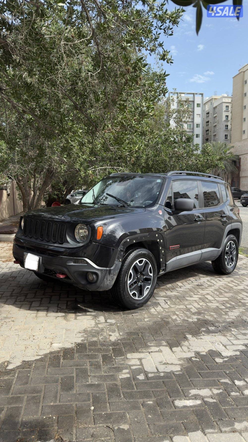 Jeep Renegade TrailHawk 20160
