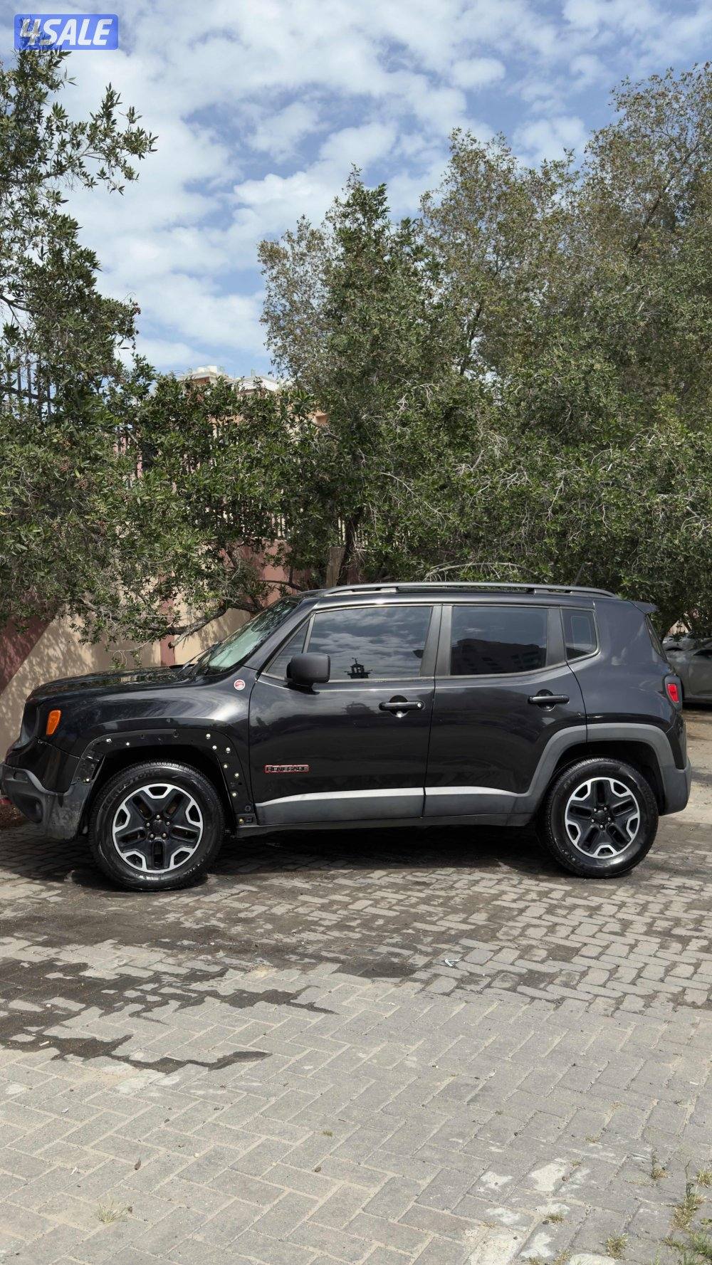 Jeep Renegade TrailHawk 20169