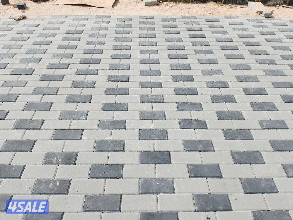 مبارك الكبير5