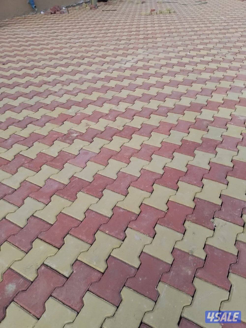 مبارك الكبير12