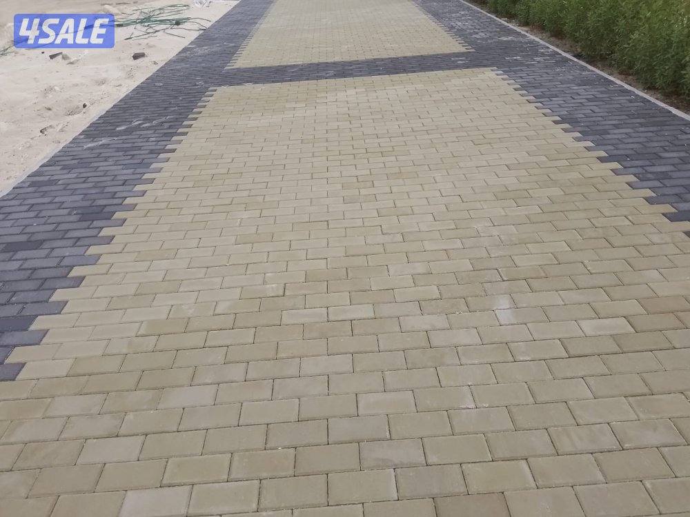 مبارك الكبير13