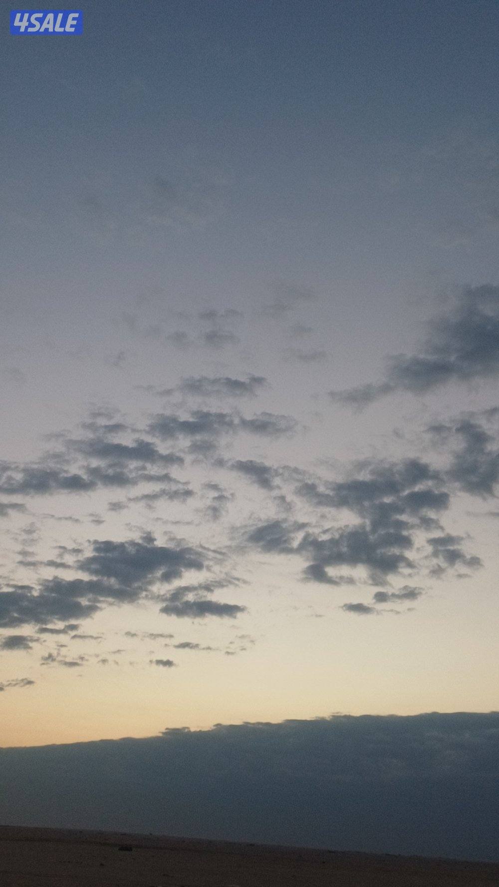 ابحث عن عمل مناسب0