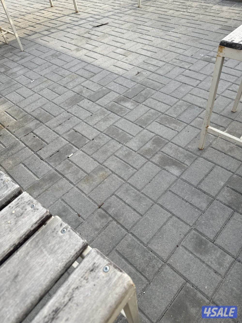 مطلوب بوستن ويلر0