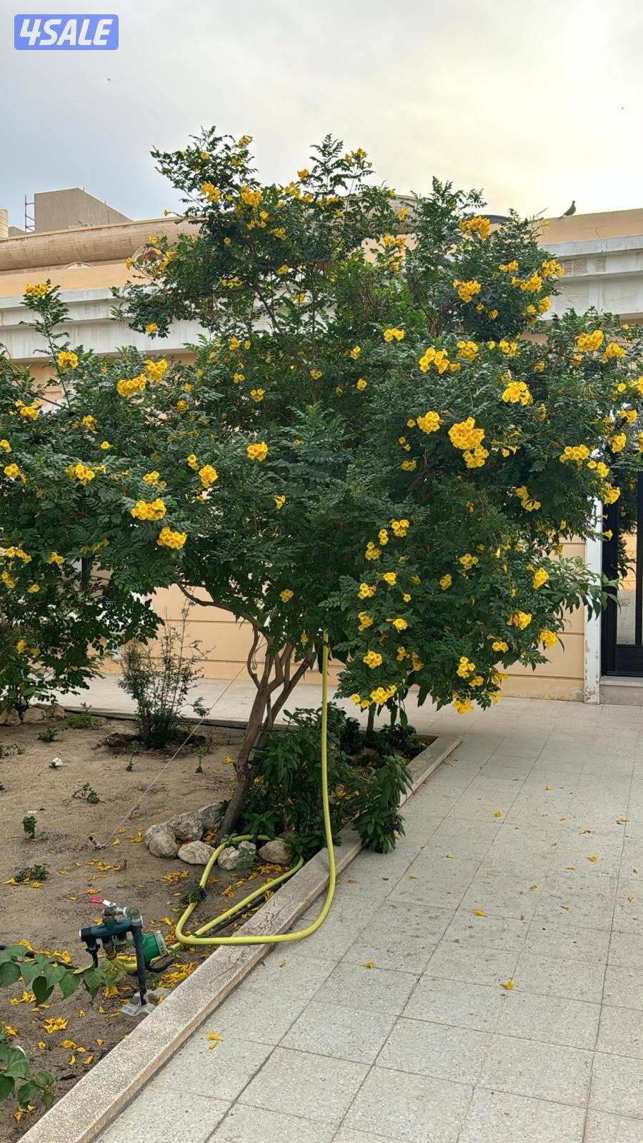 ابوعلي شبكات الري وصيانتها4