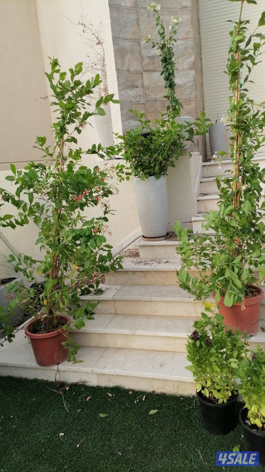 ابوعلي شبكات الري وصيانتها12