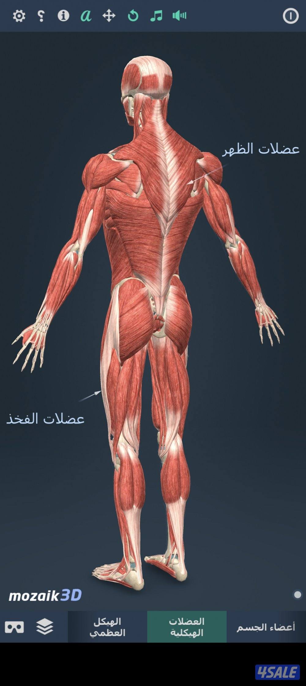 مساج كولاجين الالم الجسم0