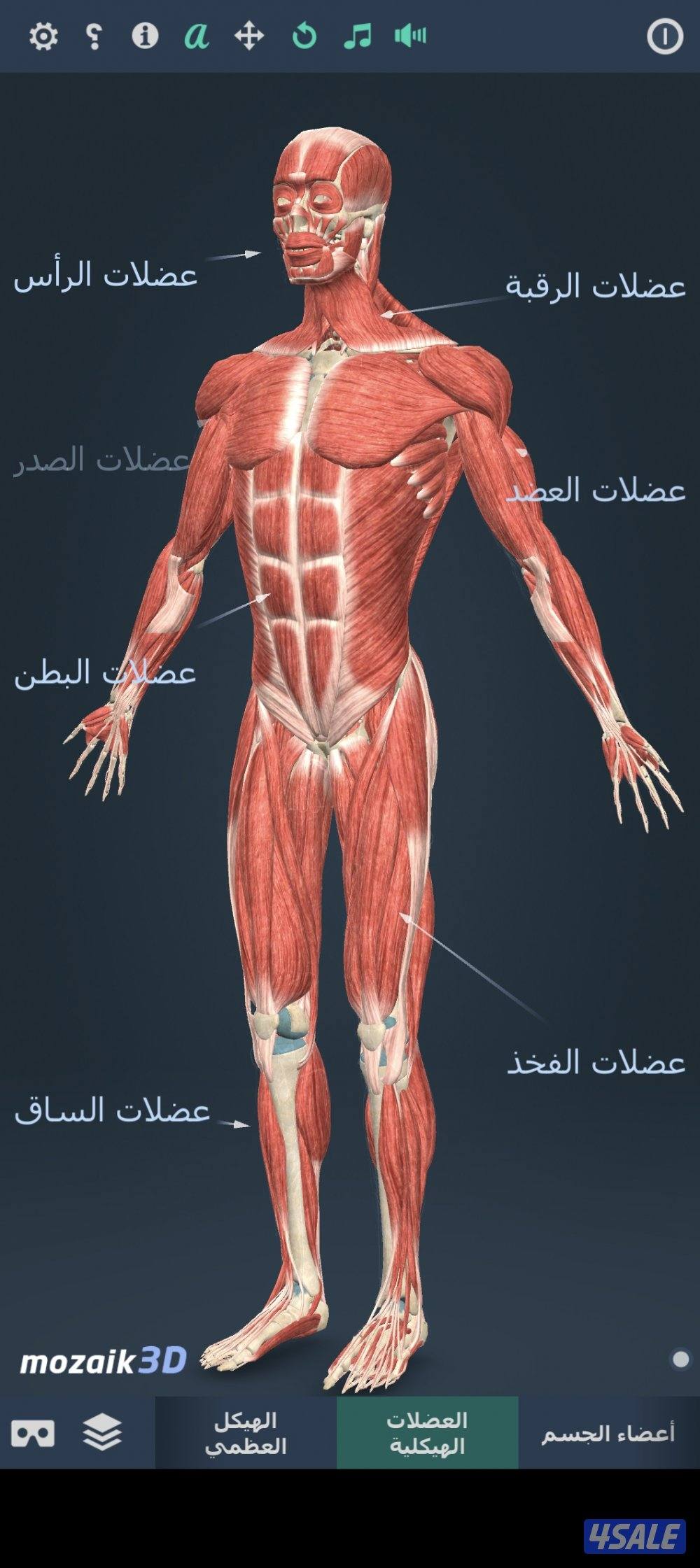 مساج كولاجين الالم الجسم1