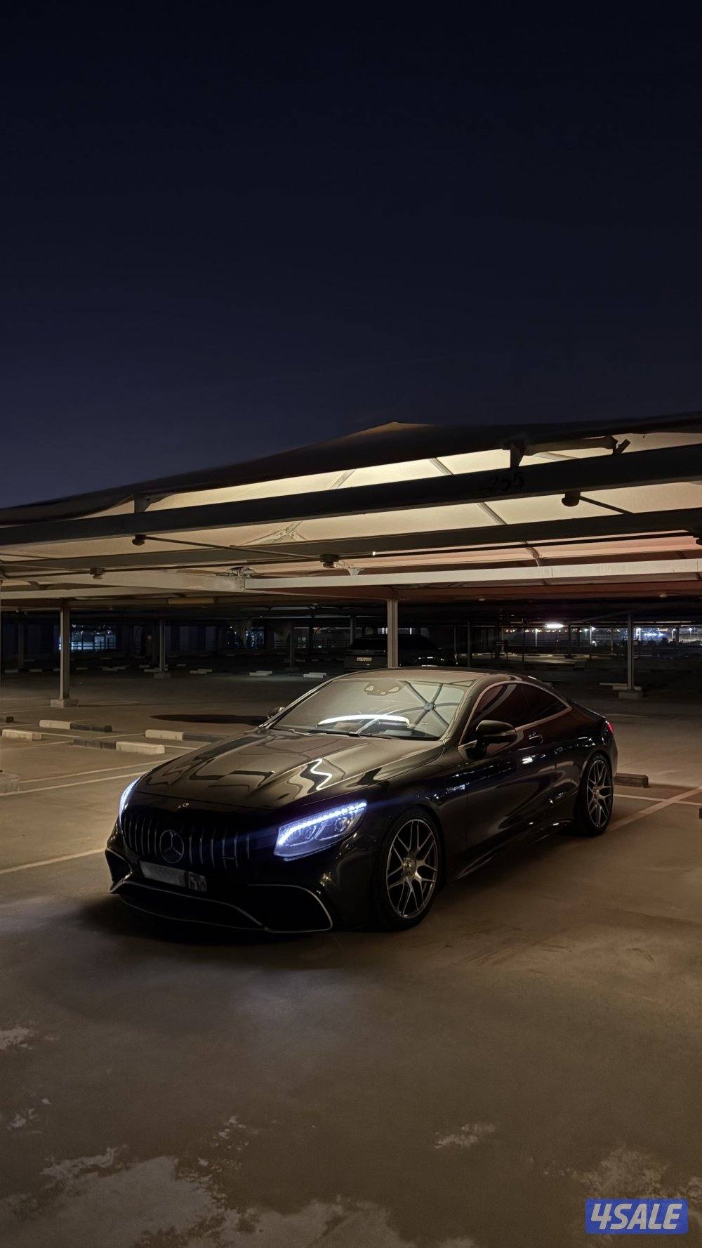 صباح الناصر1