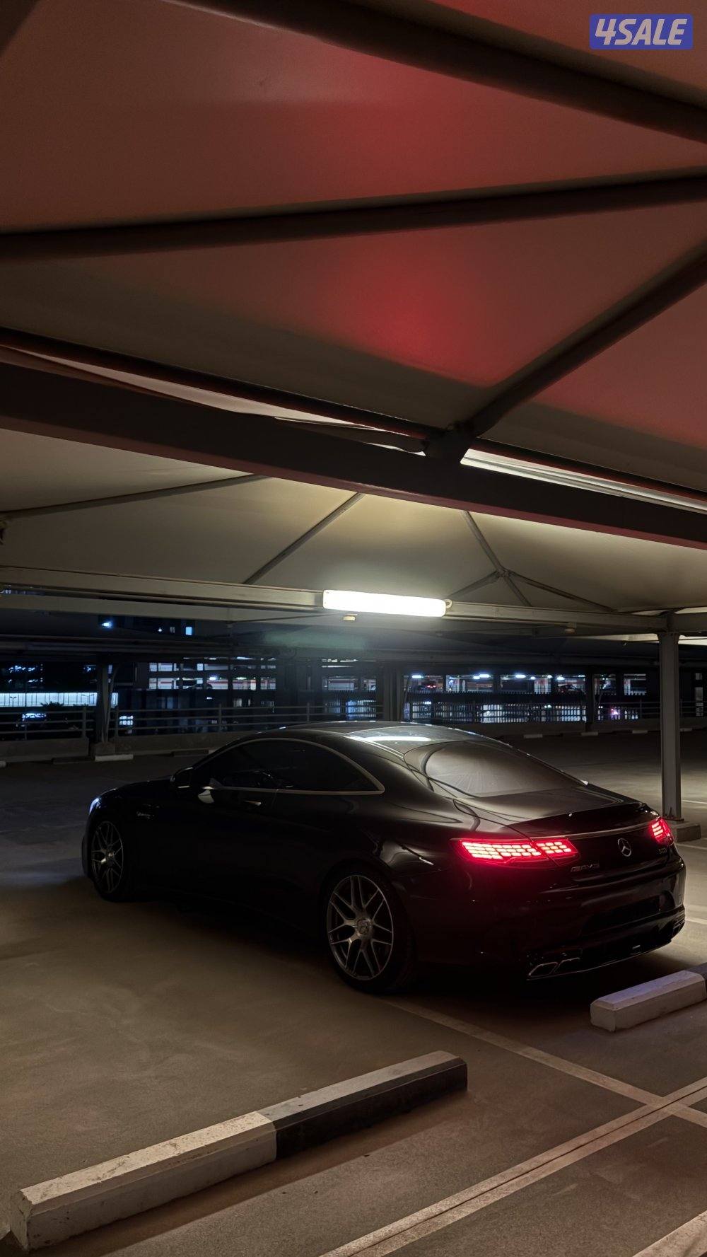 صباح الناصر2