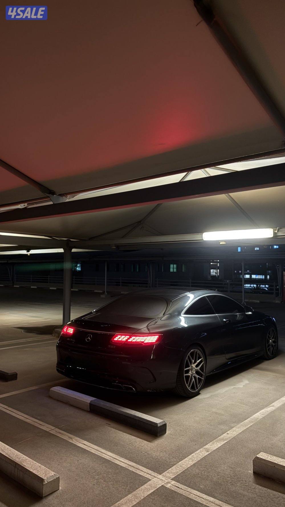 صباح الناصر3