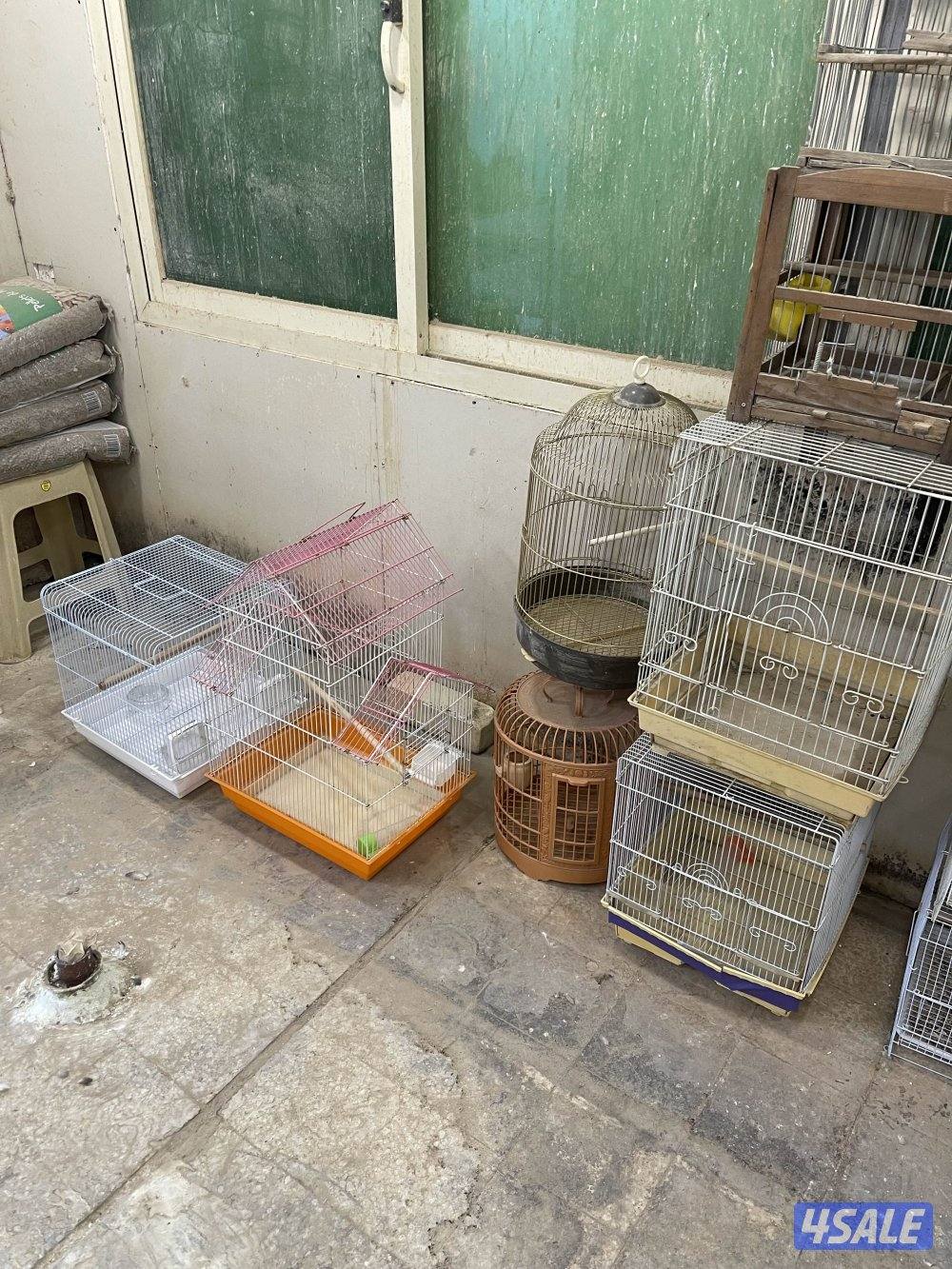 للبيع مستلزمات للطيور مشارب ومعالف وصناديق بيض2