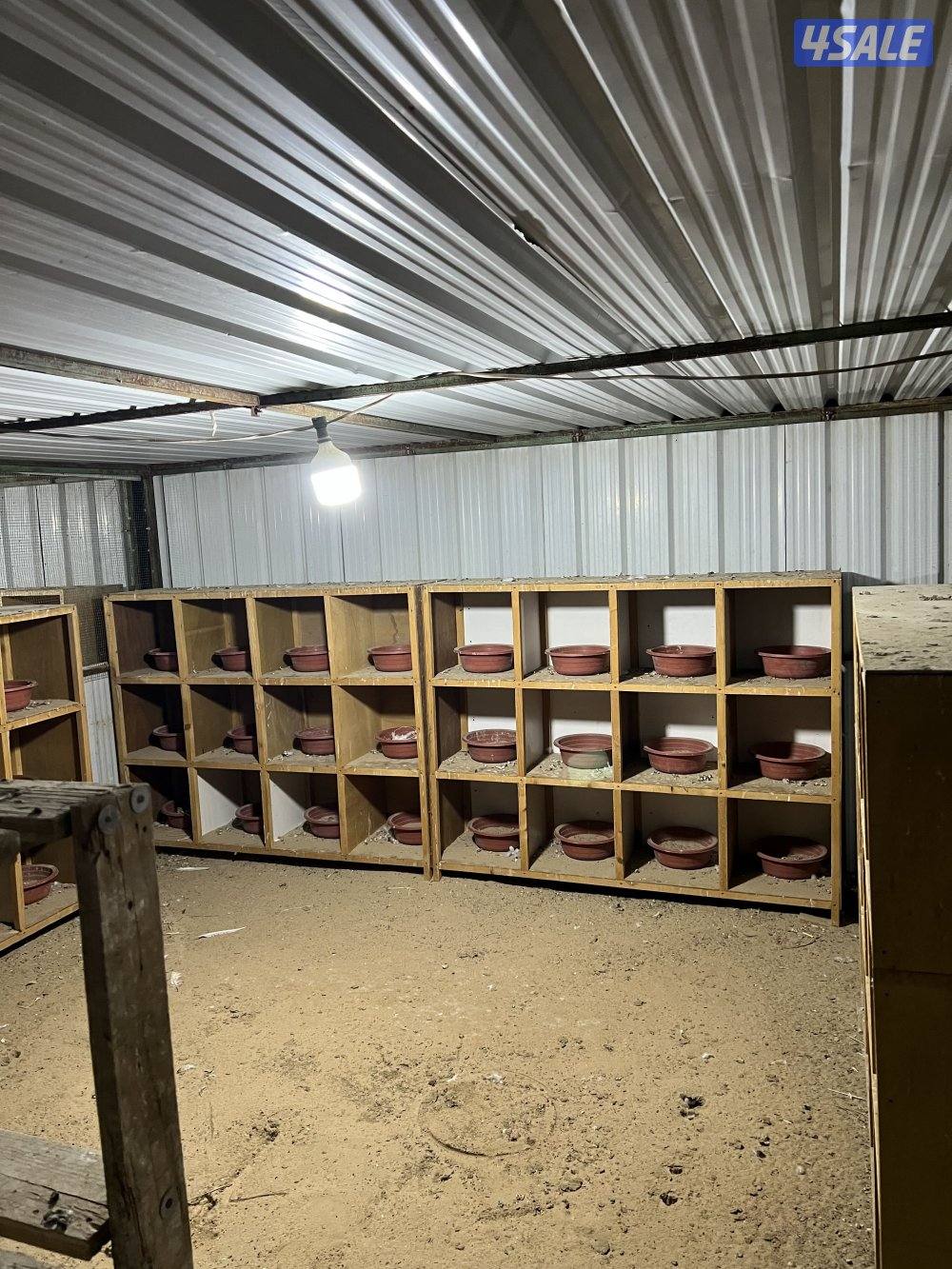 للبيع علي أجبار وخانات مقاسات مختلفه6