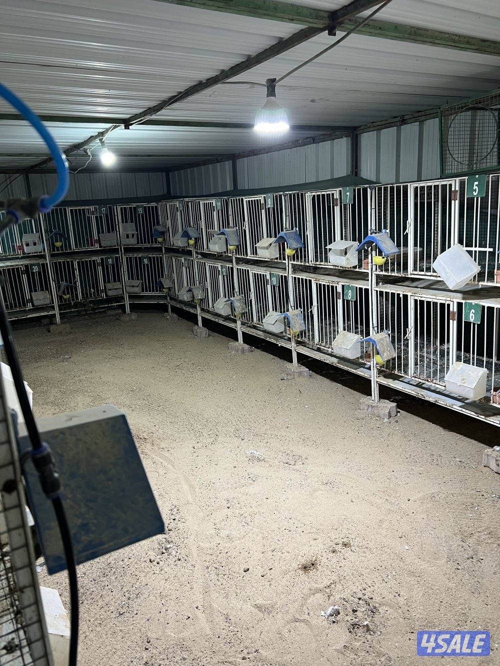 للبيع علي أجبار وخانات مقاسات مختلفه7