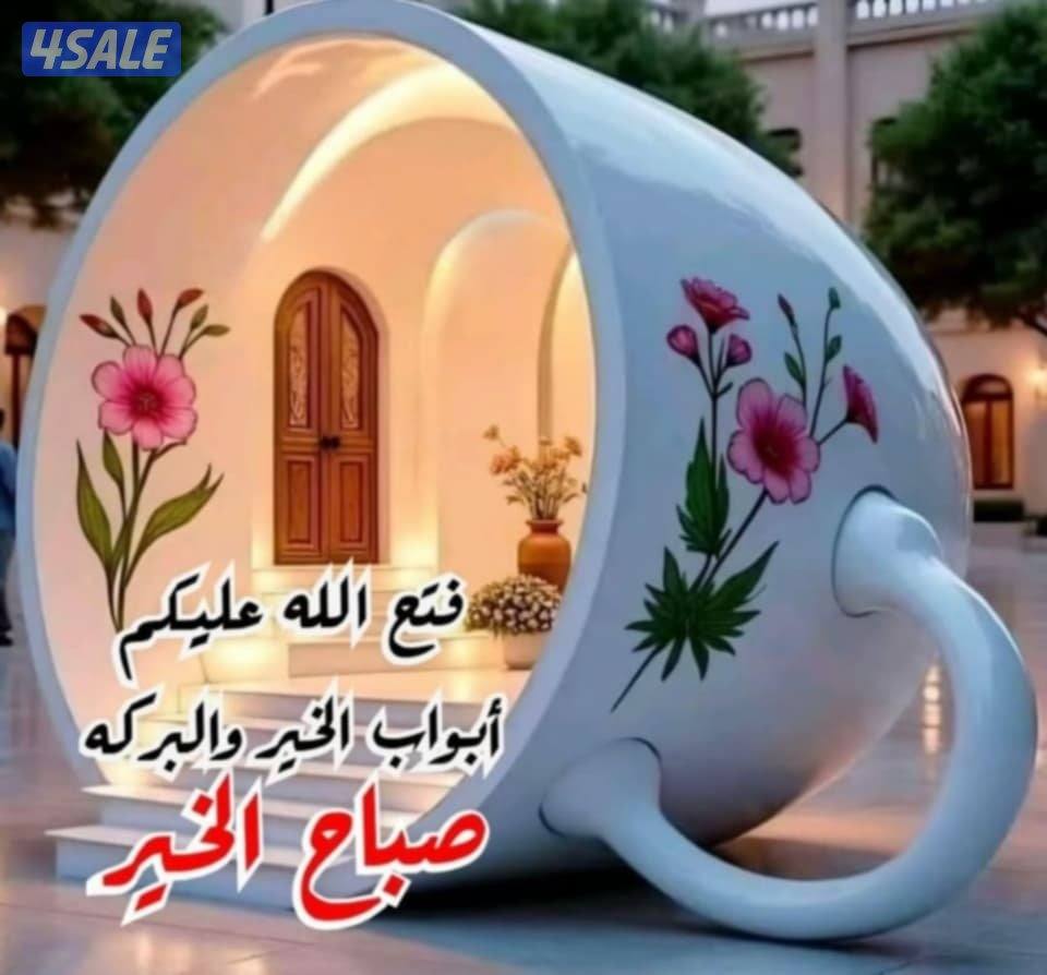 شاب يمني يبحث عن عمل0