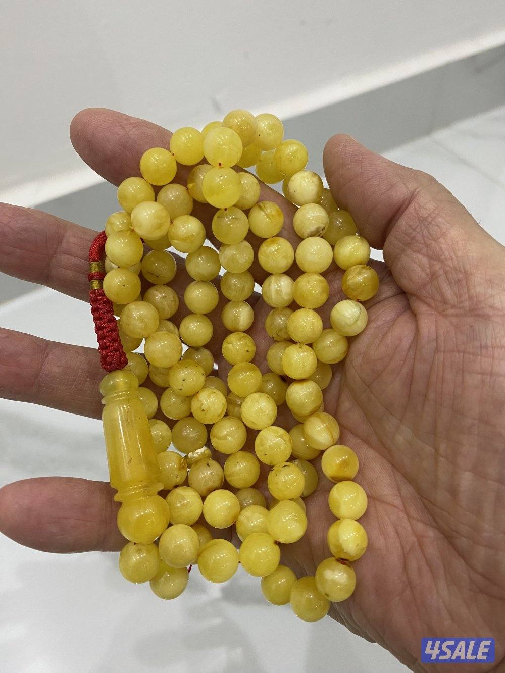 للبيع مسباحين كهرب كلنغرادي حر طبيعي2