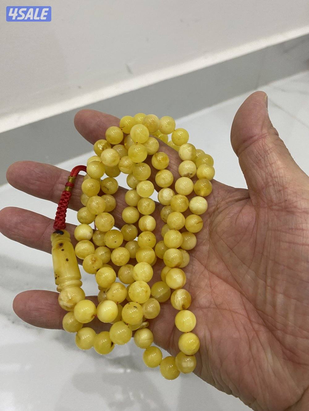 للبيع مسباحين كهرب كلنغرادي حر طبيعي5