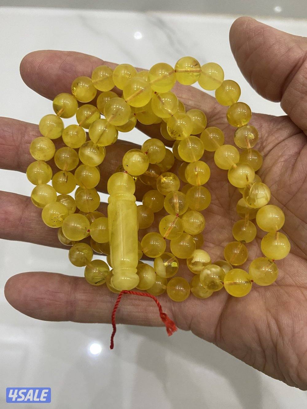 للبيع مسباحين كهرب كلنغرادي حر طبيعي6