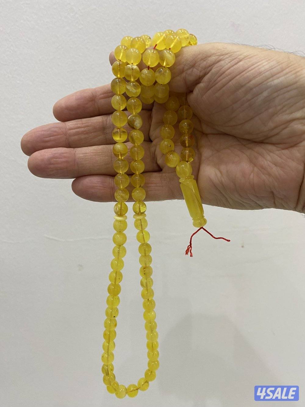 للبيع مسباحين كهرب كلنغرادي حر طبيعي9