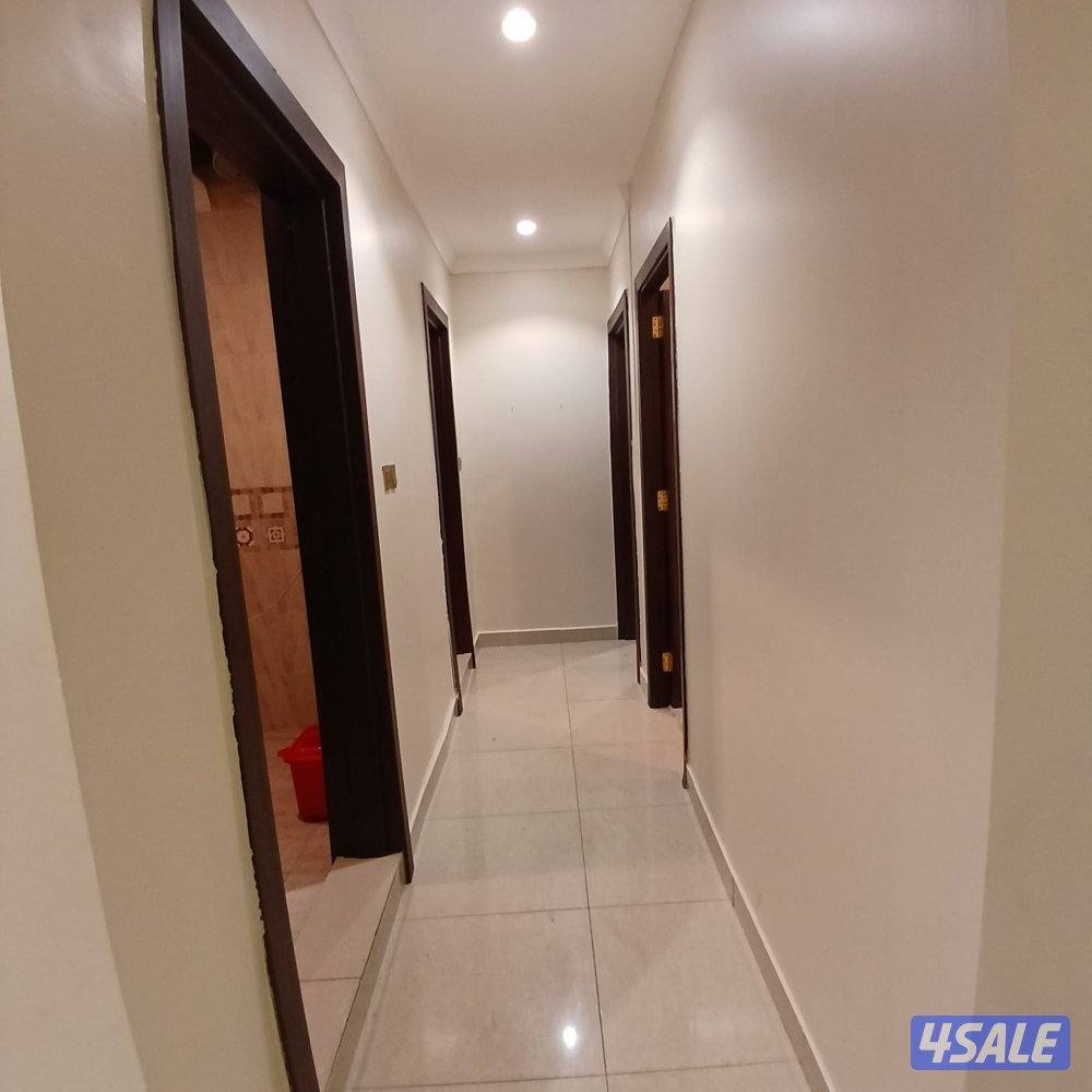 شقق للايجار بالجابريه ق١ب غرفتين وصاله ومطبخ وحمامين شامل الكهرباء1