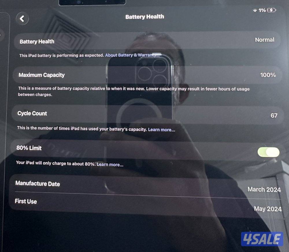 Ipad Pro 11 inch M4 512 G cellular0