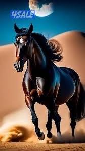 احتاج وظيفه دوام ٨ ساعات1