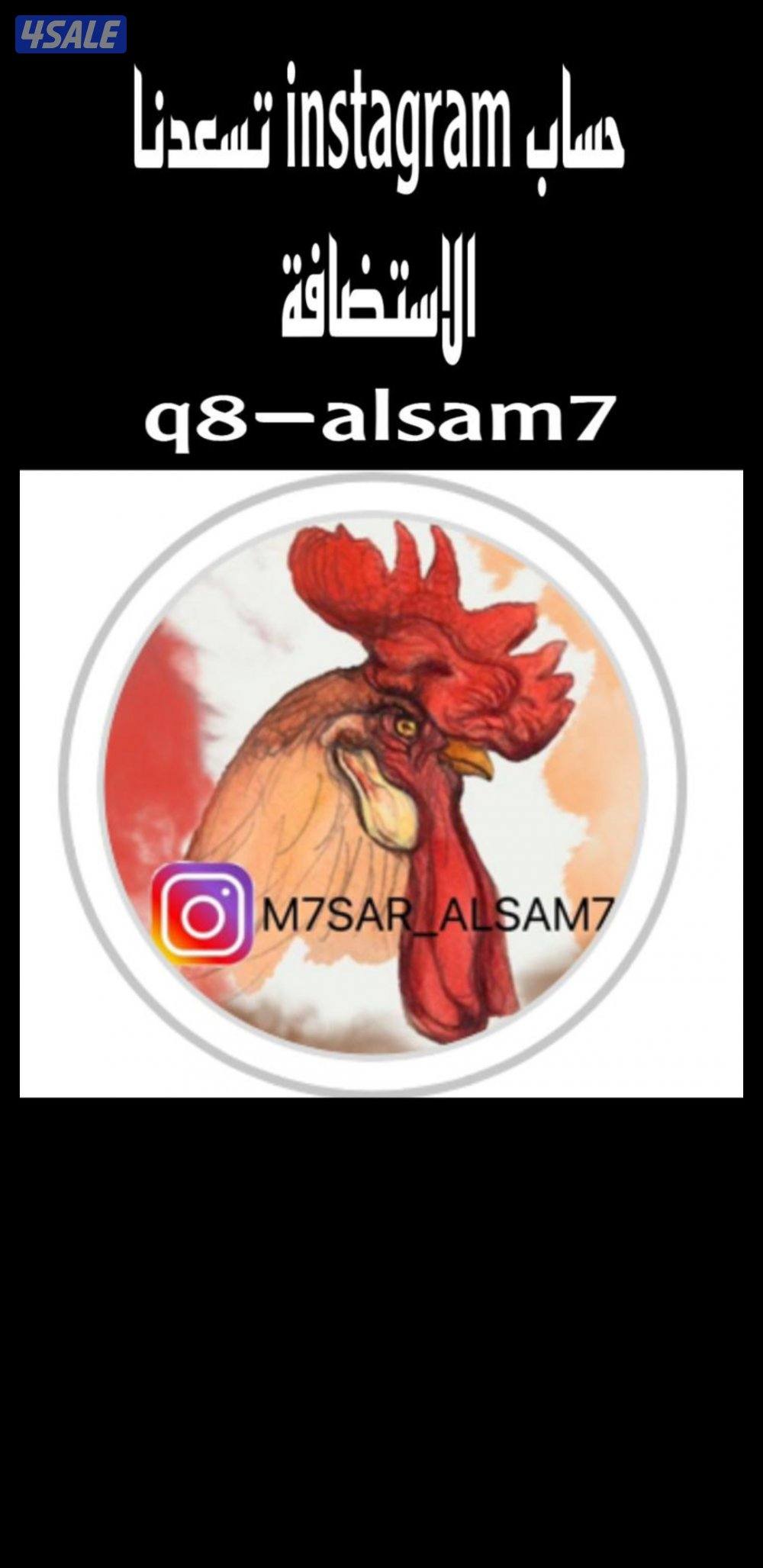 للبيع مجاميع عربي قديم + صيصان6