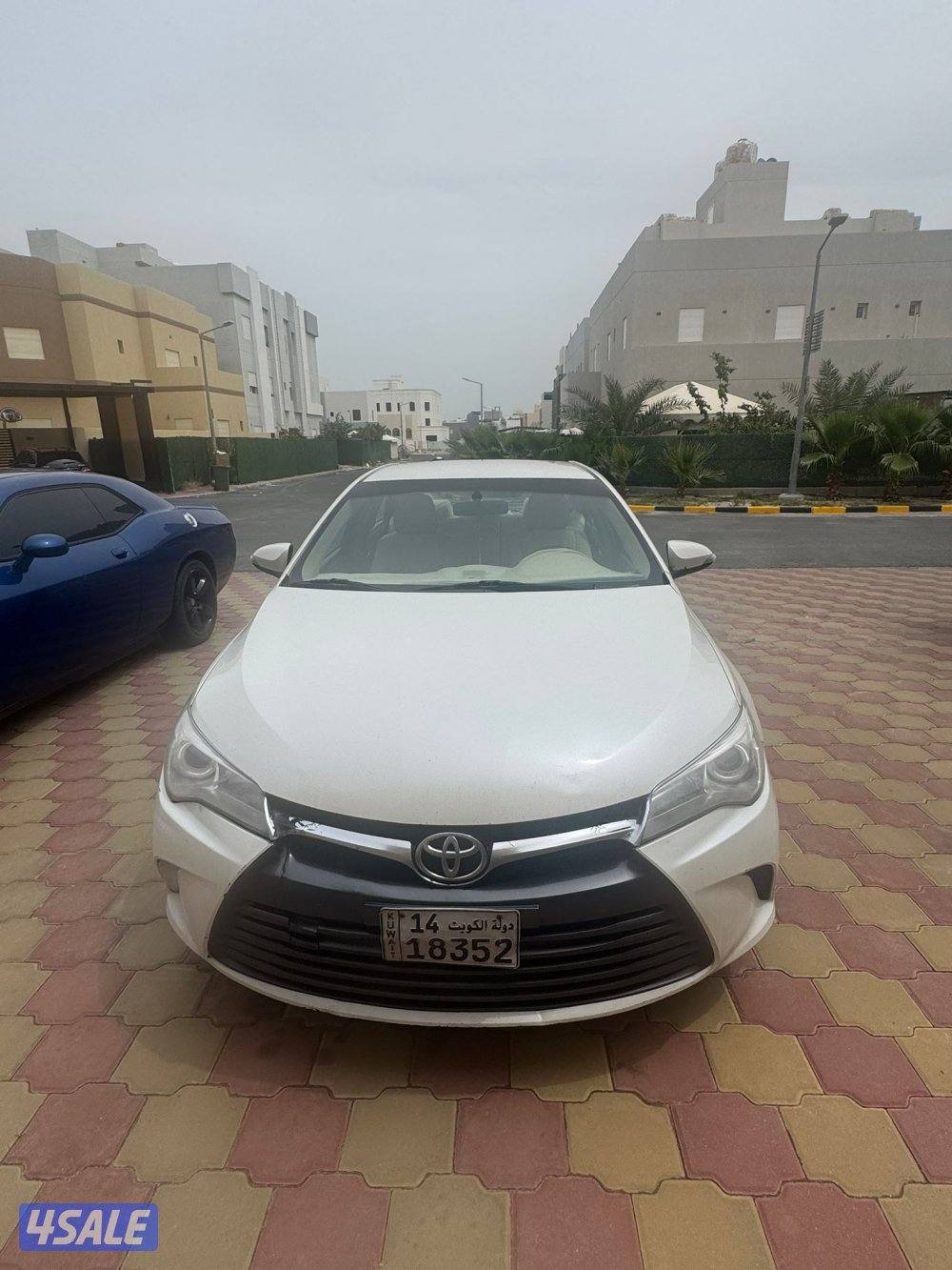 كامريgl المالك الأول0