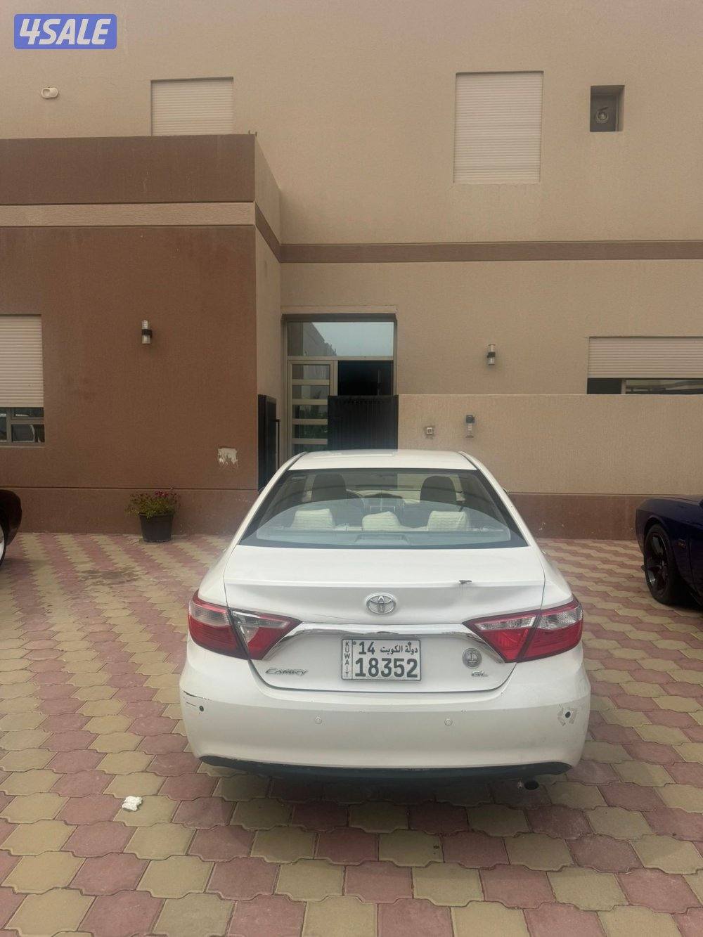 كامريgl المالك الأول6