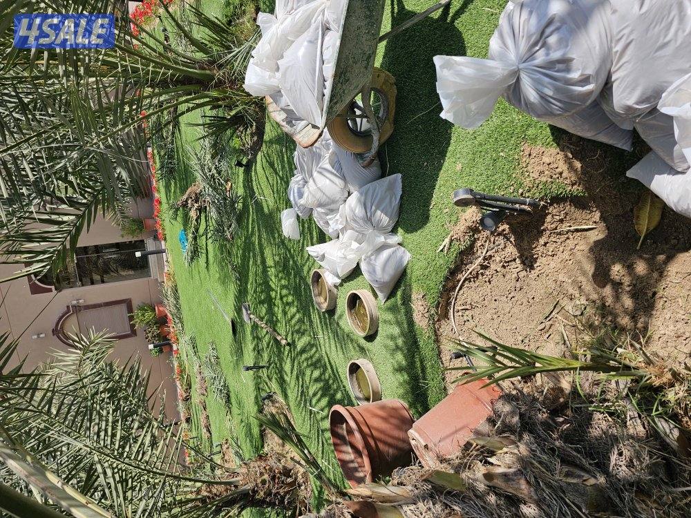 ماجد الاهوازي للنخيل6