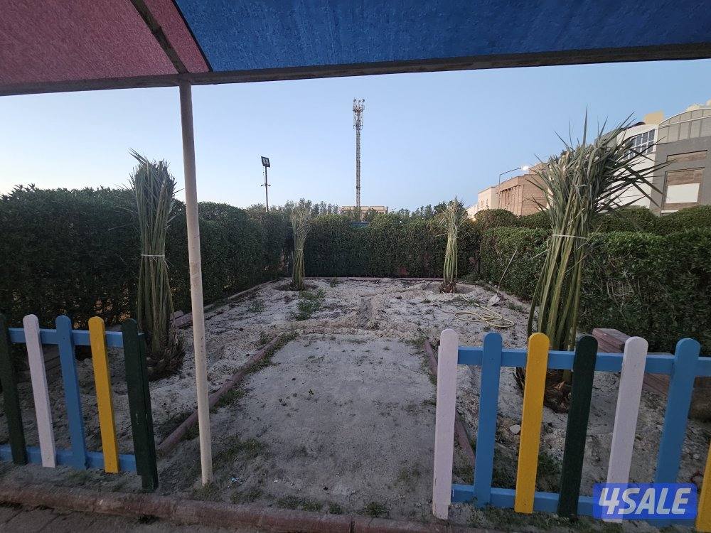 ماجد الاهوازي للنخيل8