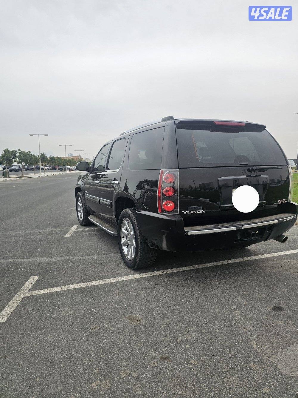 يوكن دينالي 20083