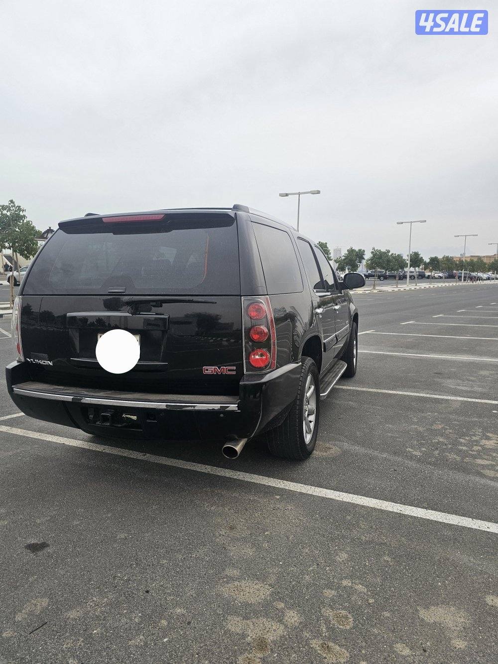 يوكن دينالي 20087