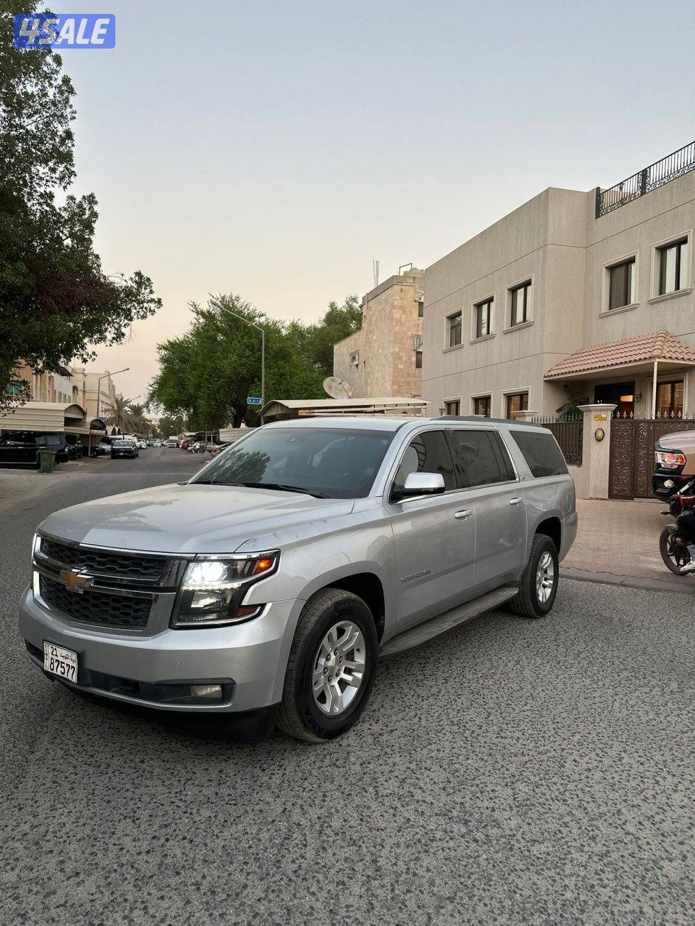 صبغ الوكاله شرط الفحص1