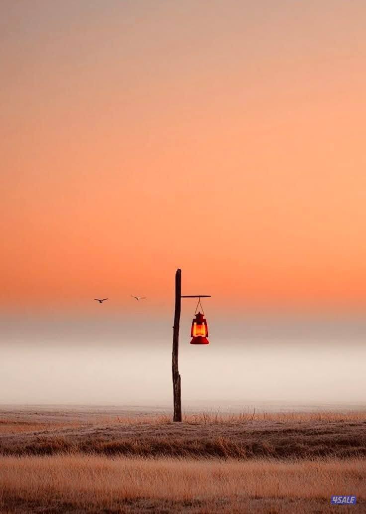 محاضر ومدرس رياضيات0