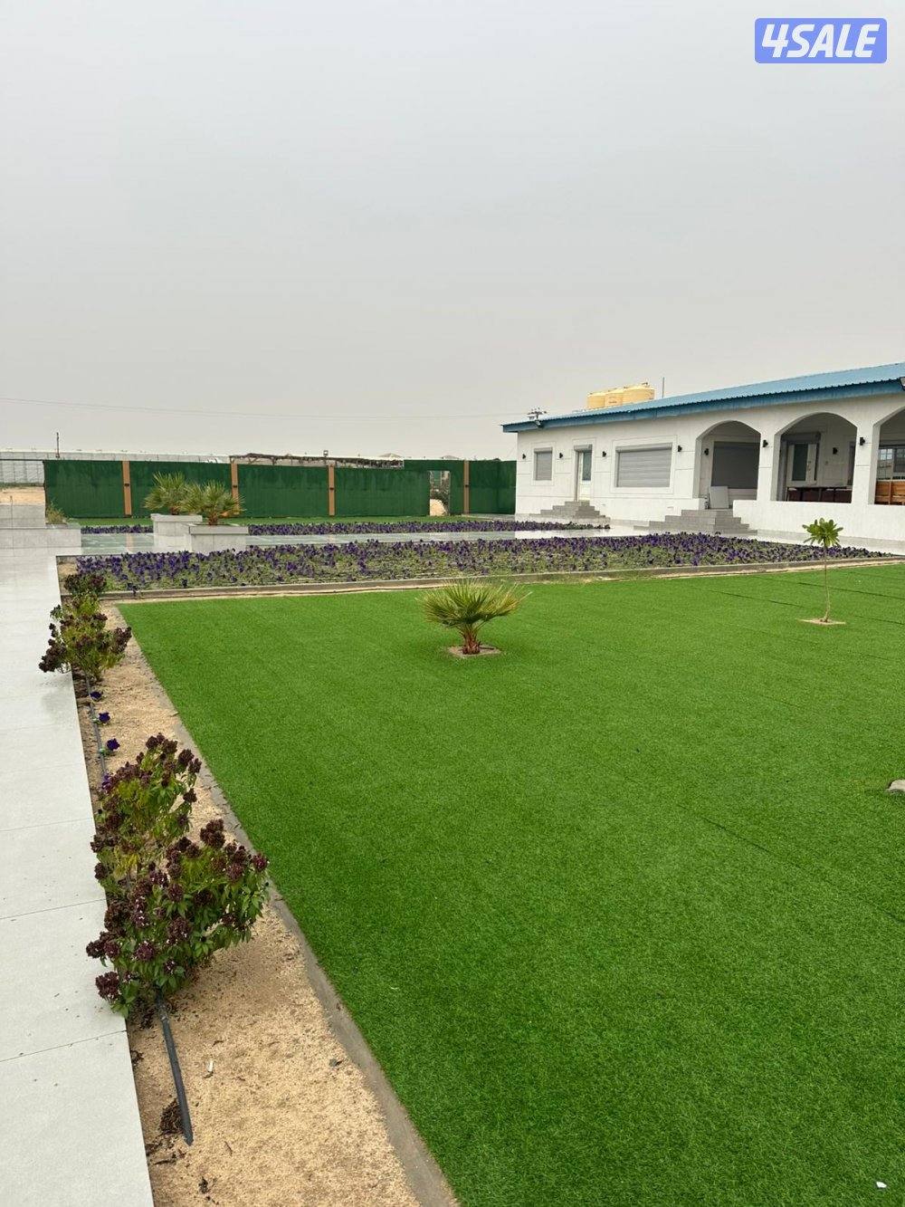 للأيجار مزرعة بالوفره طريق ٧٠٠0