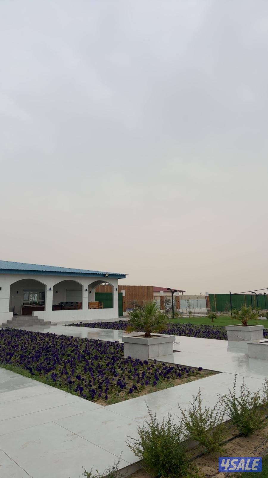 للأيجار مزرعة بالوفره طريق ٧٠٠7