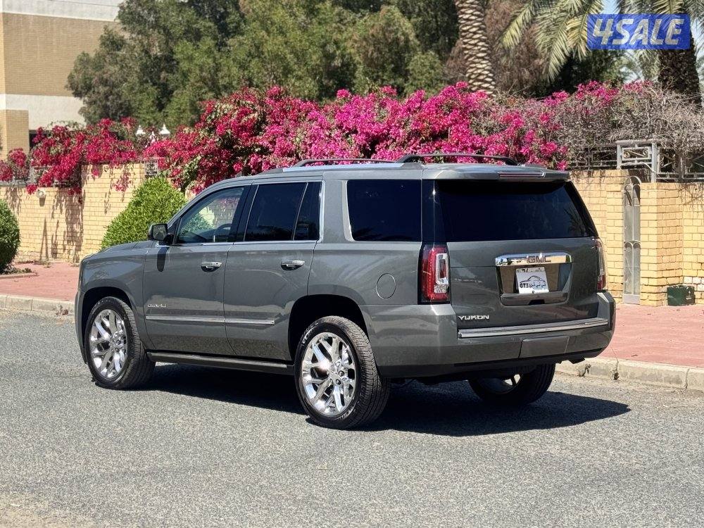 دينالي ٢٠١٧ لون مميز4