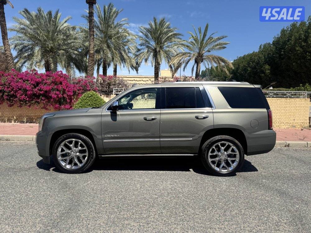 دينالي ٢٠١٧ لون مميز5