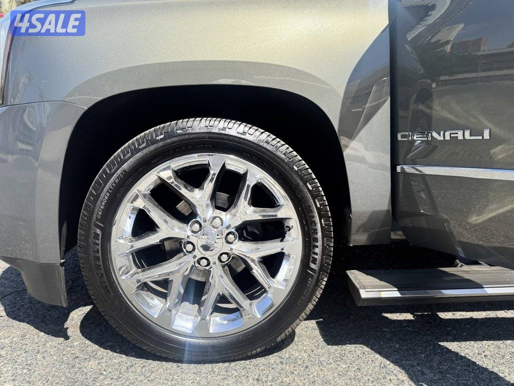 دينالي ٢٠١٧ لون مميز6