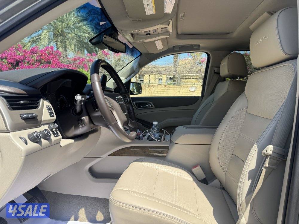 دينالي ٢٠١٧ لون مميز10