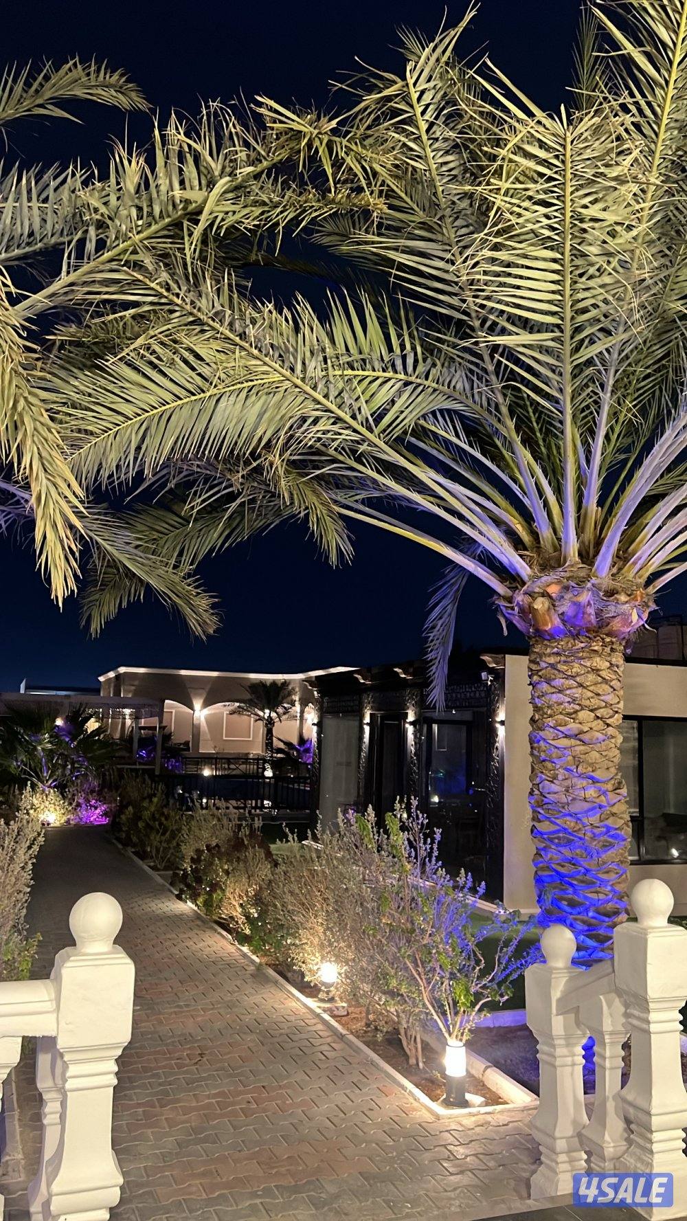 مزرعه للايجار طريق 800 VIP جديده ونظيفه4