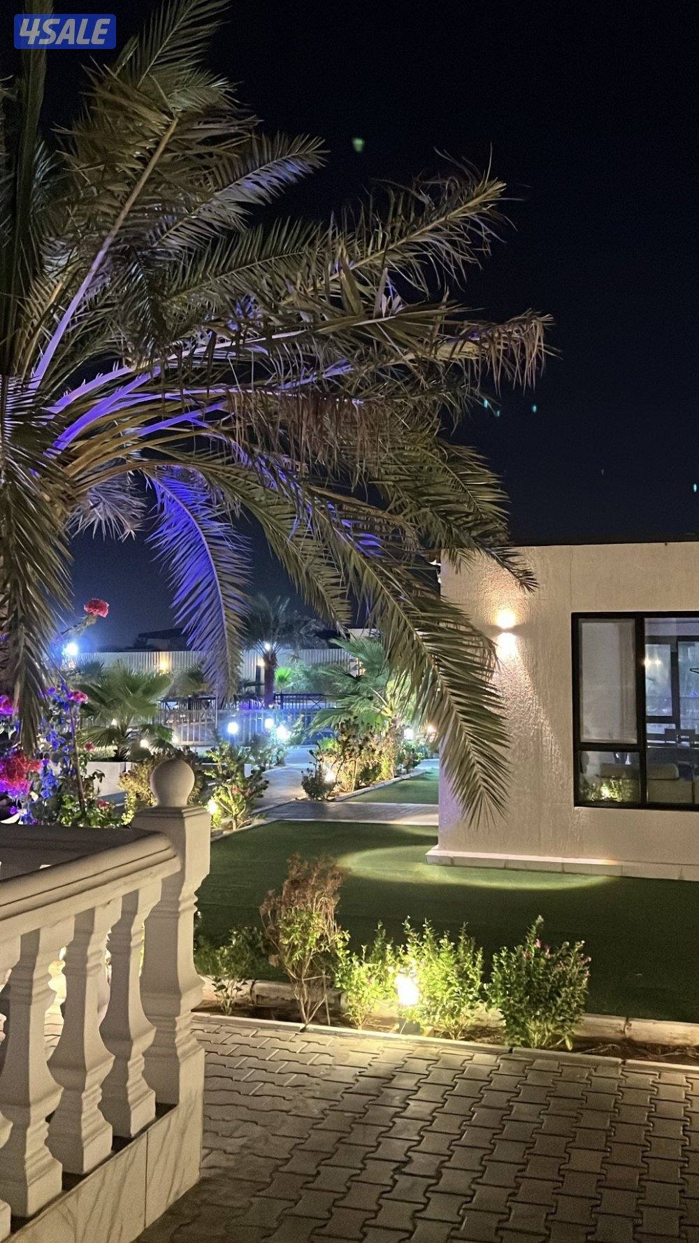 مزرعه للايجار طريق 800 VIP جديده ونظيفه10