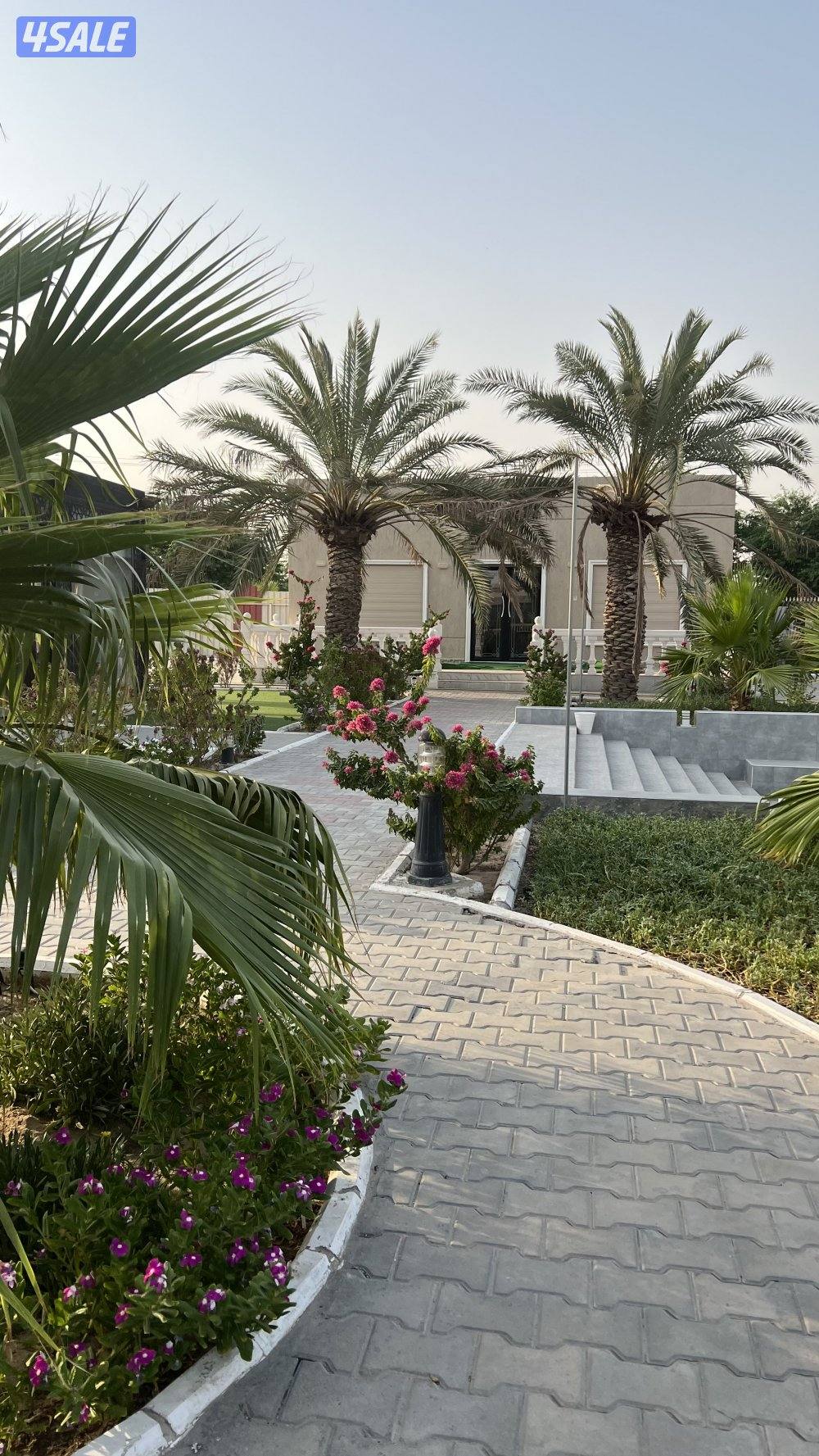 مزرعه للايجار طريق 800 VIP جديده ونظيفه12