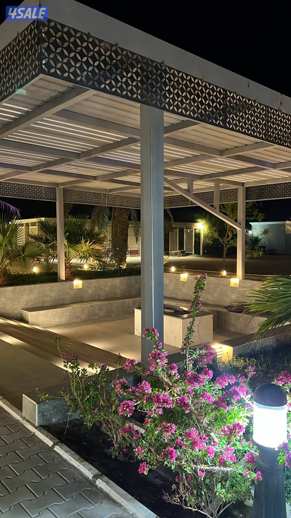 مزرعه للايجار طريق 800 VIP جديده ونظيفه13