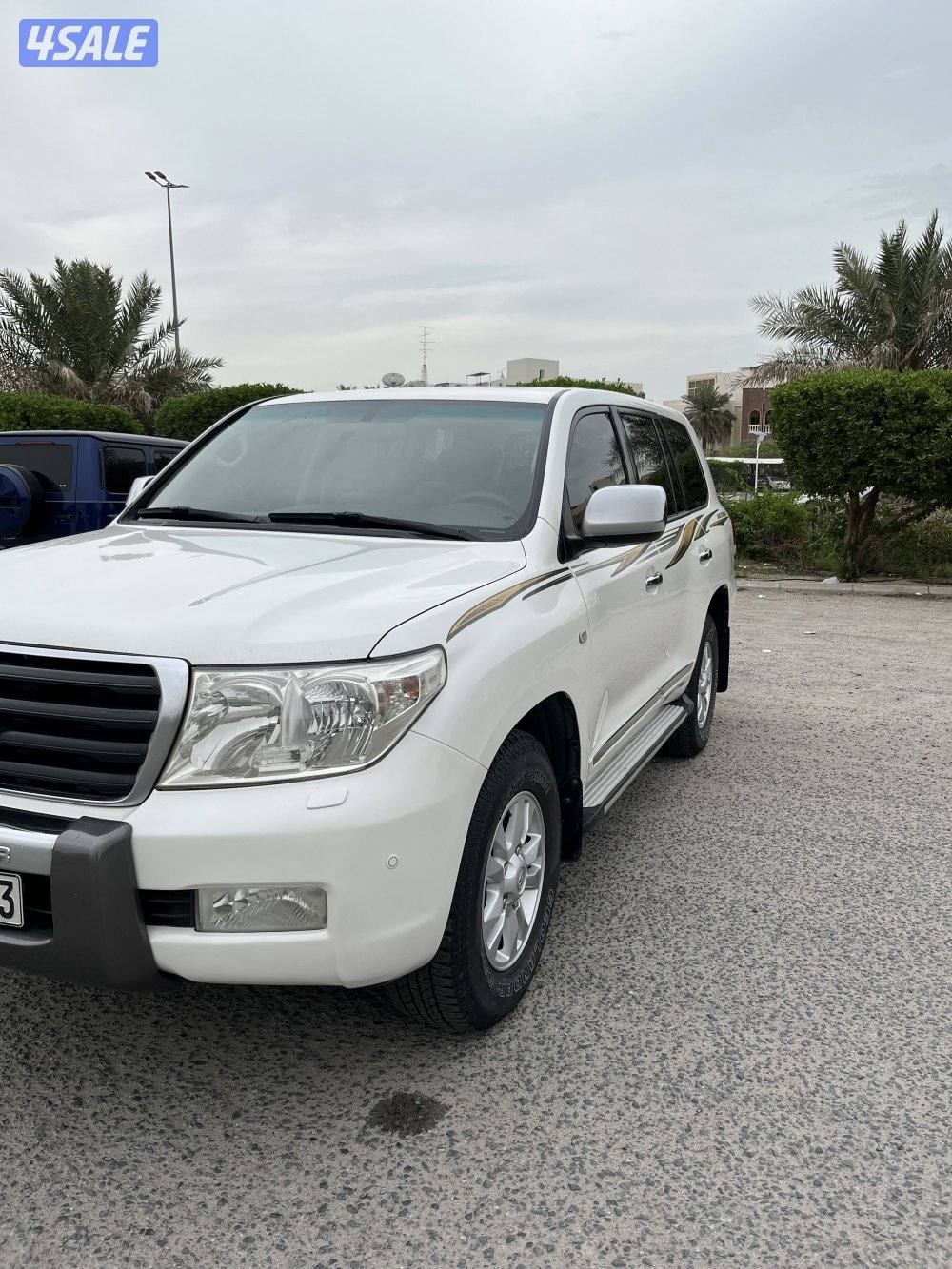 صبغ وكاله 2010 gxr0