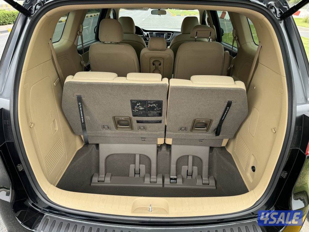 كرنفال مالك الاول شرط الفحص4