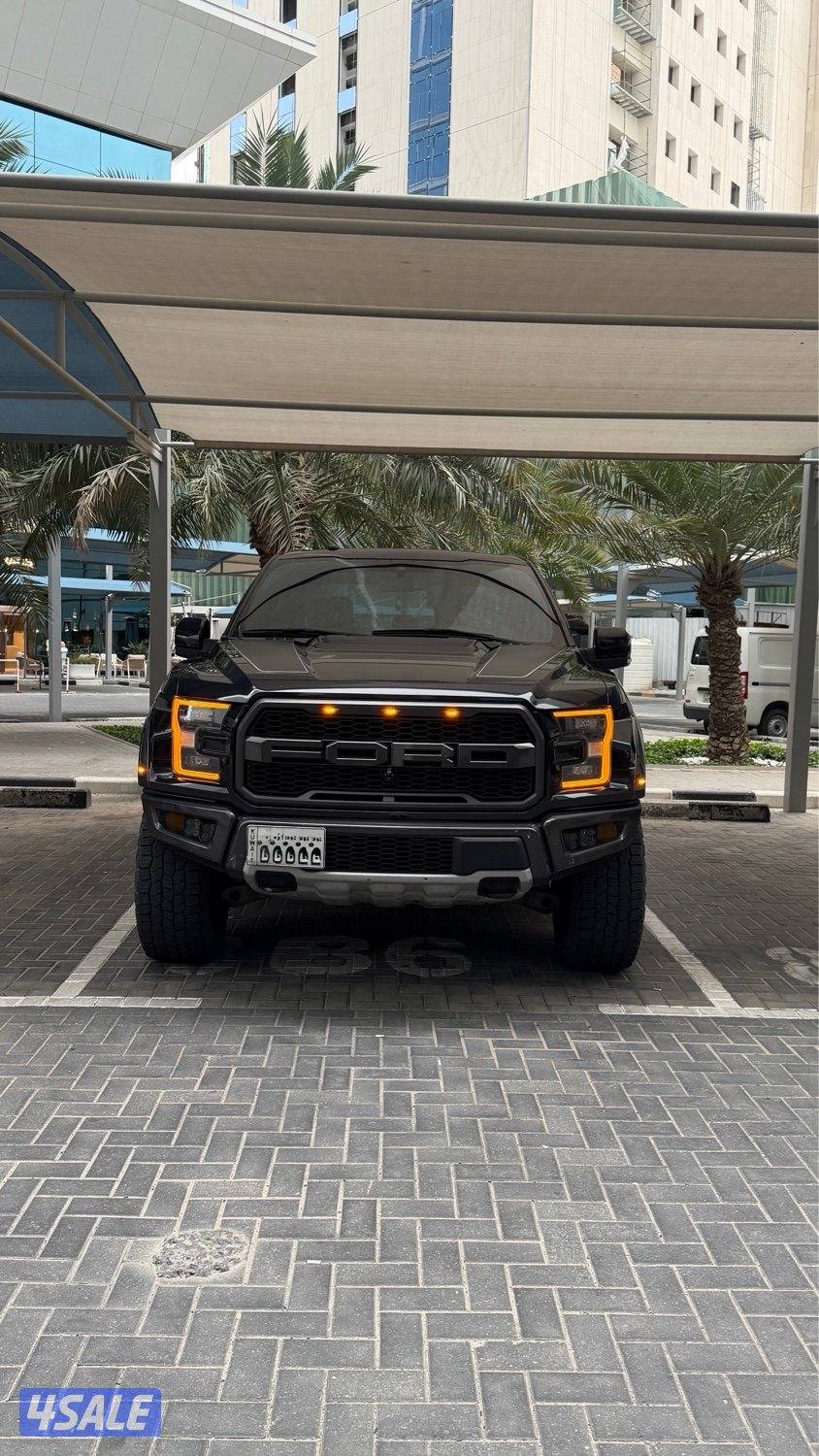 وانيت فورد رابتر 20191