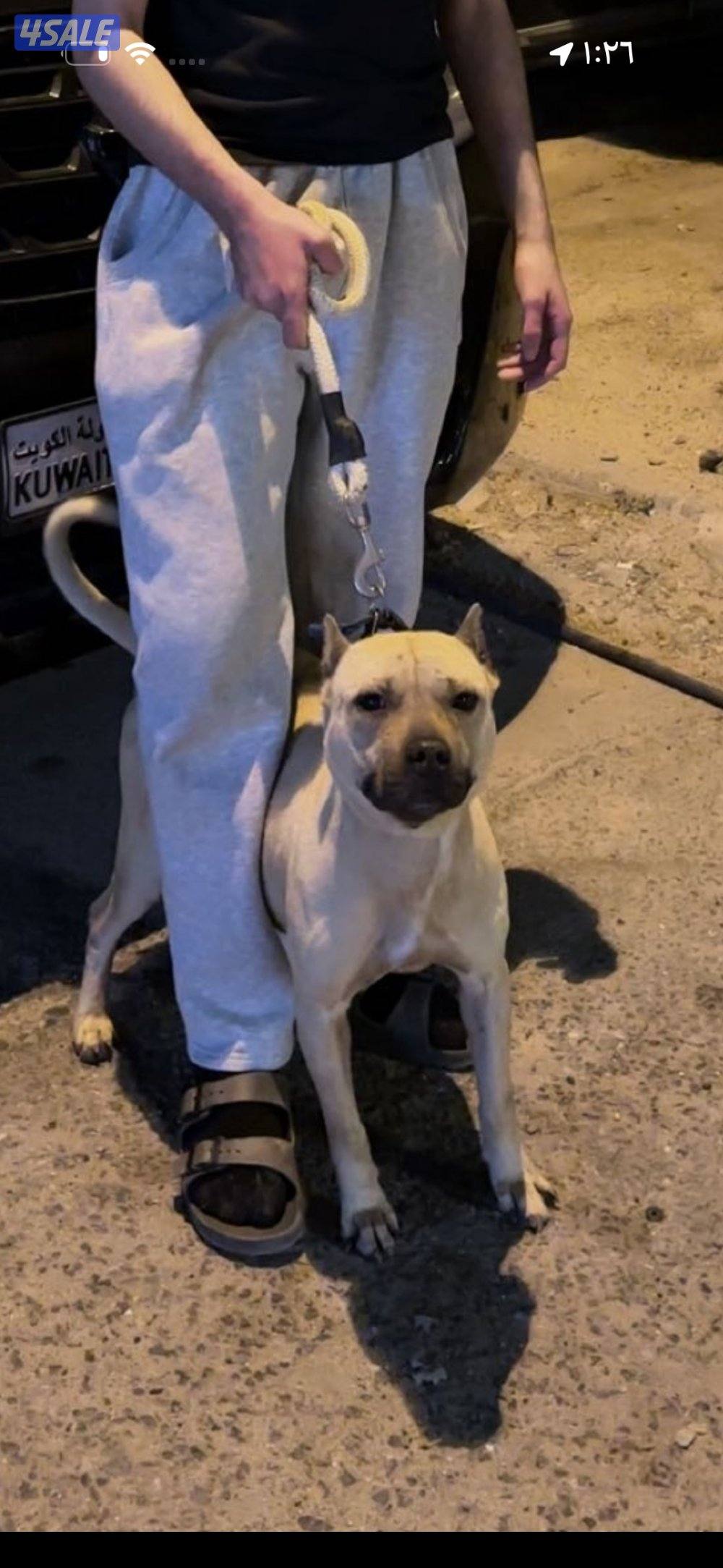 بتبول نثيه مرسوسه0